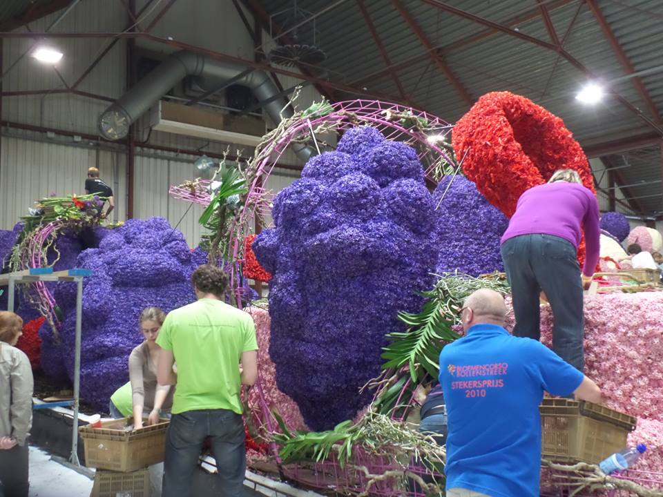 Цветочный фестиваль в Голландии